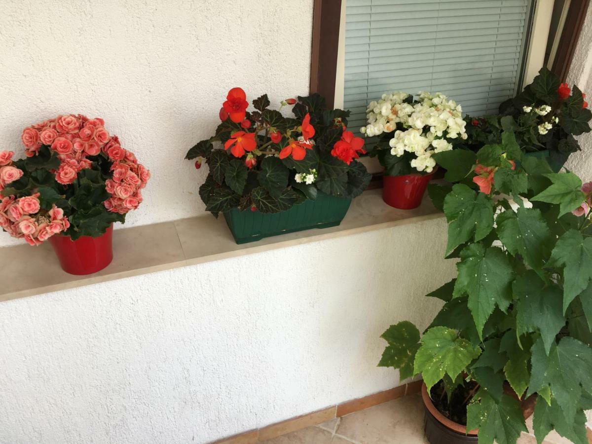 Apartment Lucija Novi Vinodolski Luaran gambar